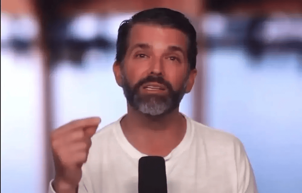 Whiny Don Jr. Begs MAGA Voters To Vote Republican: ‘I Know You’re Pi**ed Off’