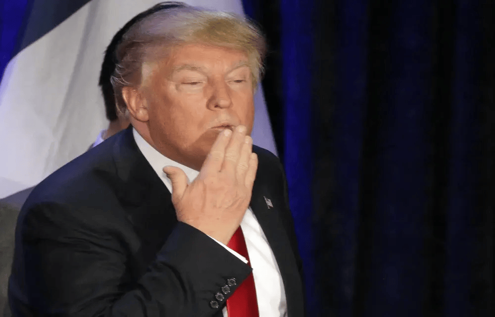 Dirty Old Man Donnie Stops Campaign Rally To Lust Over Woman In Audience