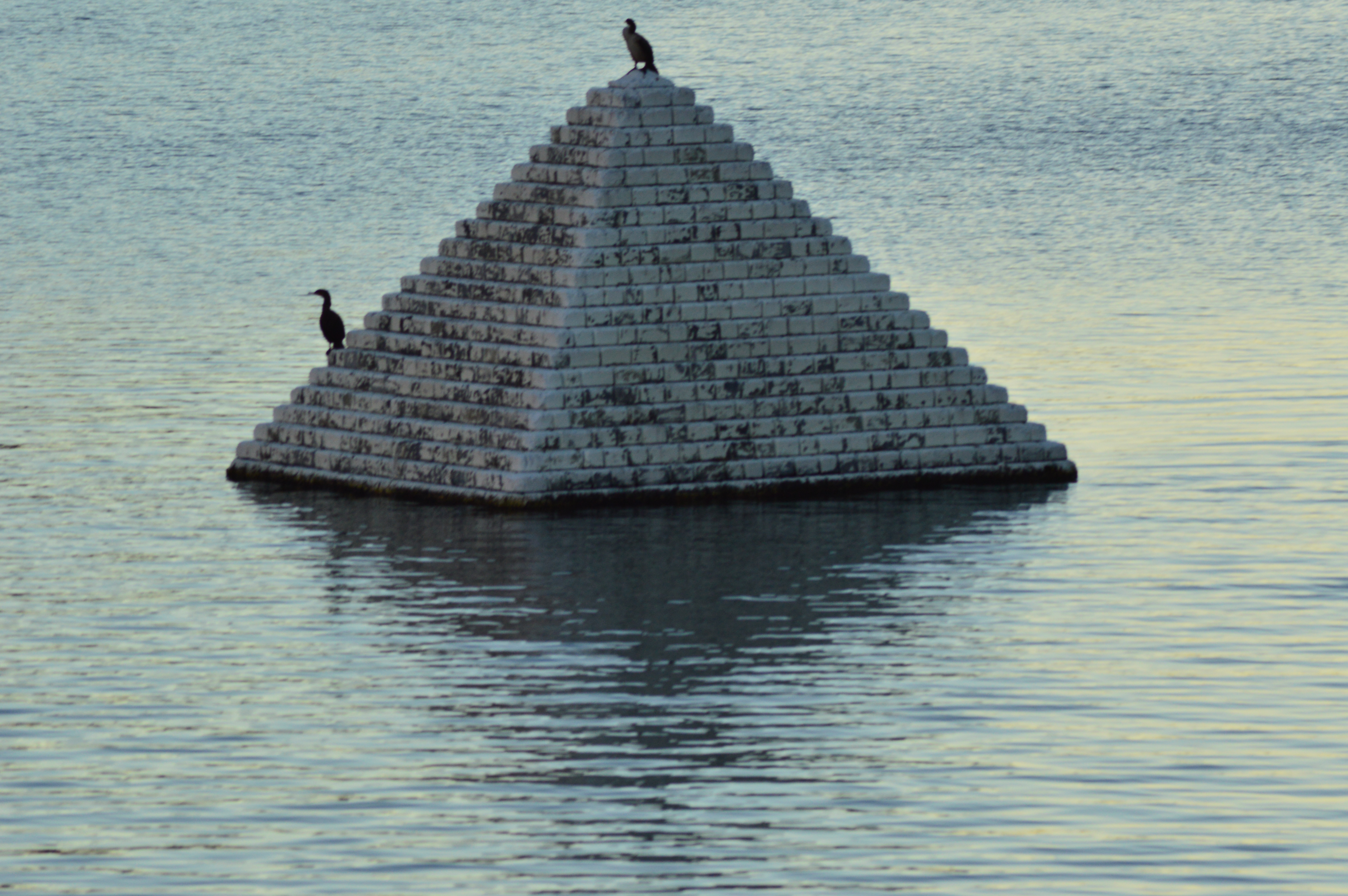 dsc_10241.jpg?ssl=1