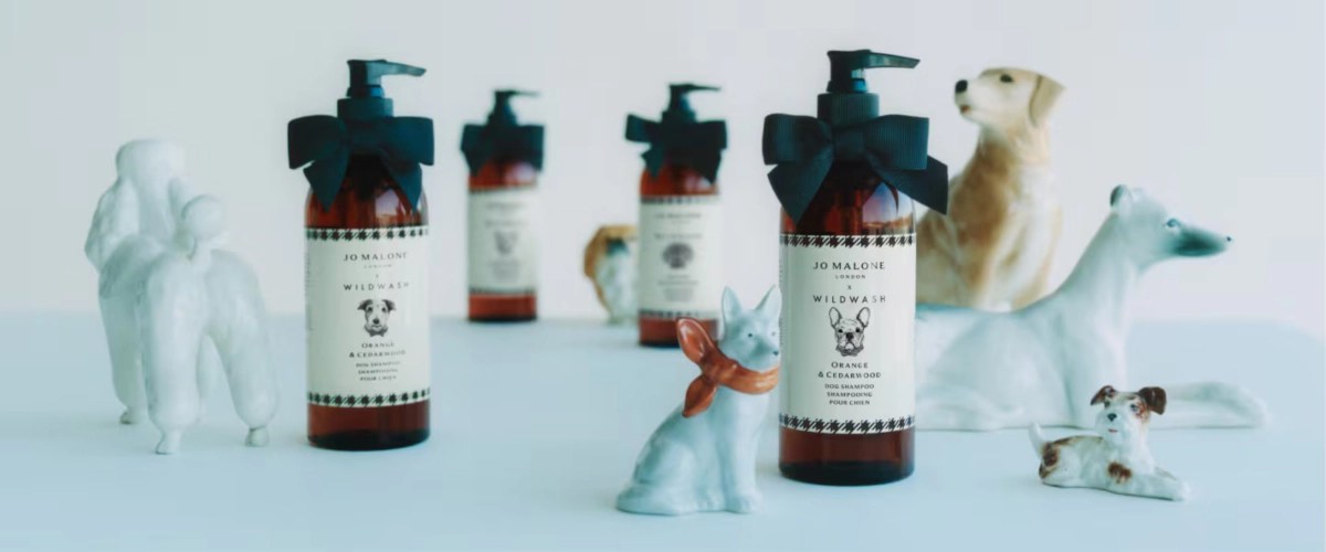 Jo Malone London 聯名 WildWash 推出奢華「橙香與雪松木」狗狗洗髮露
