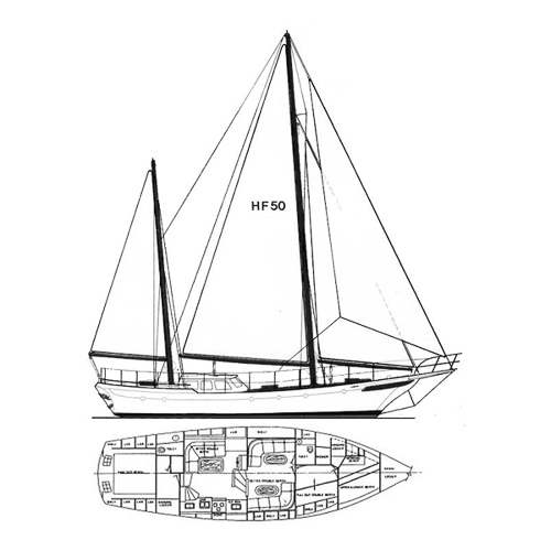 Illustration of a Force 50