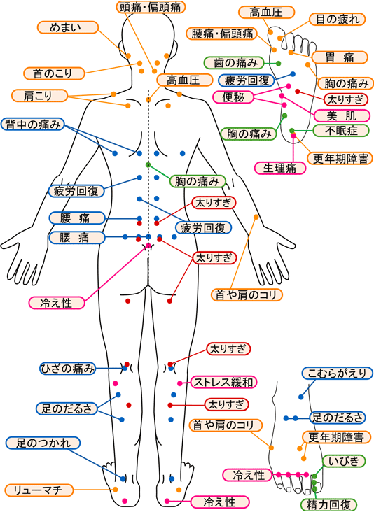 図説東洋医学 経穴編 図説 木下 東洋医学 代田 文彦 晴都, (経穴編