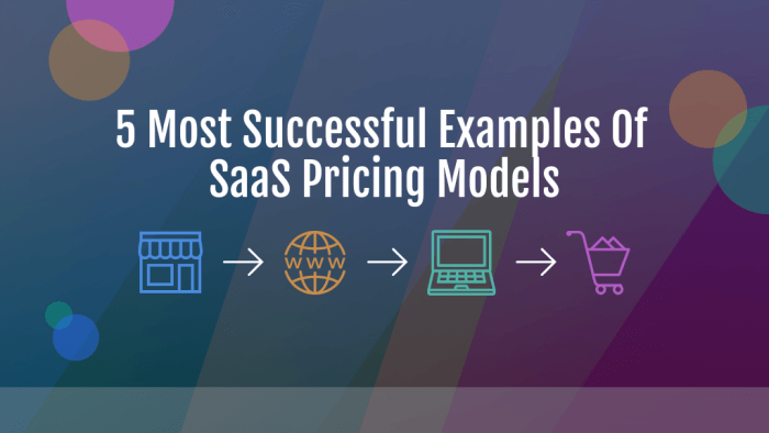 5 most successful examples of saas pricing models