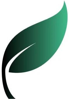 New Leaf Consignment Plus - Ultra HD Minimal Patterns for Desktop