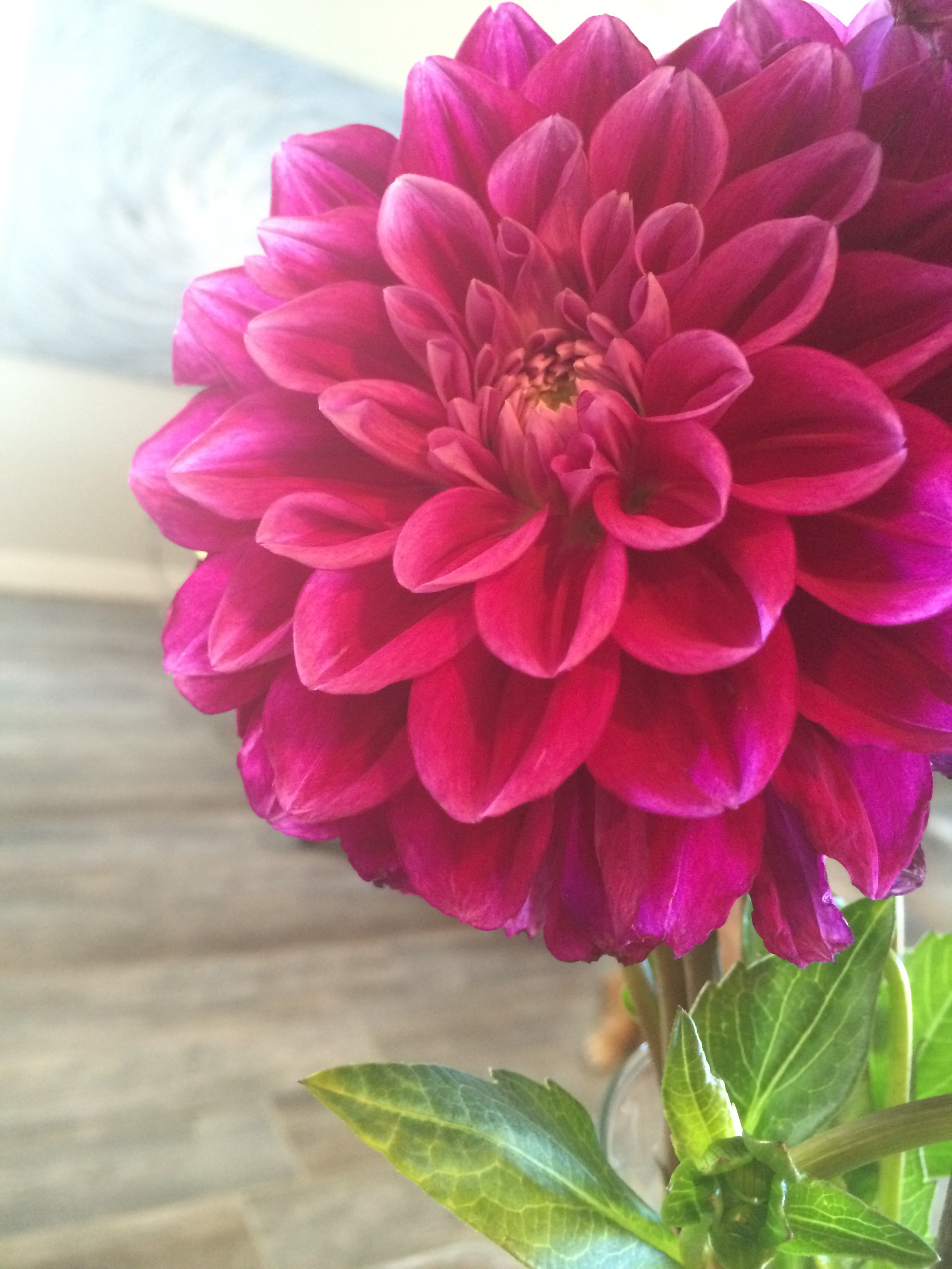 Weekly Review Days Off, Picnicking, and Fresh Flowers Newman's Nest