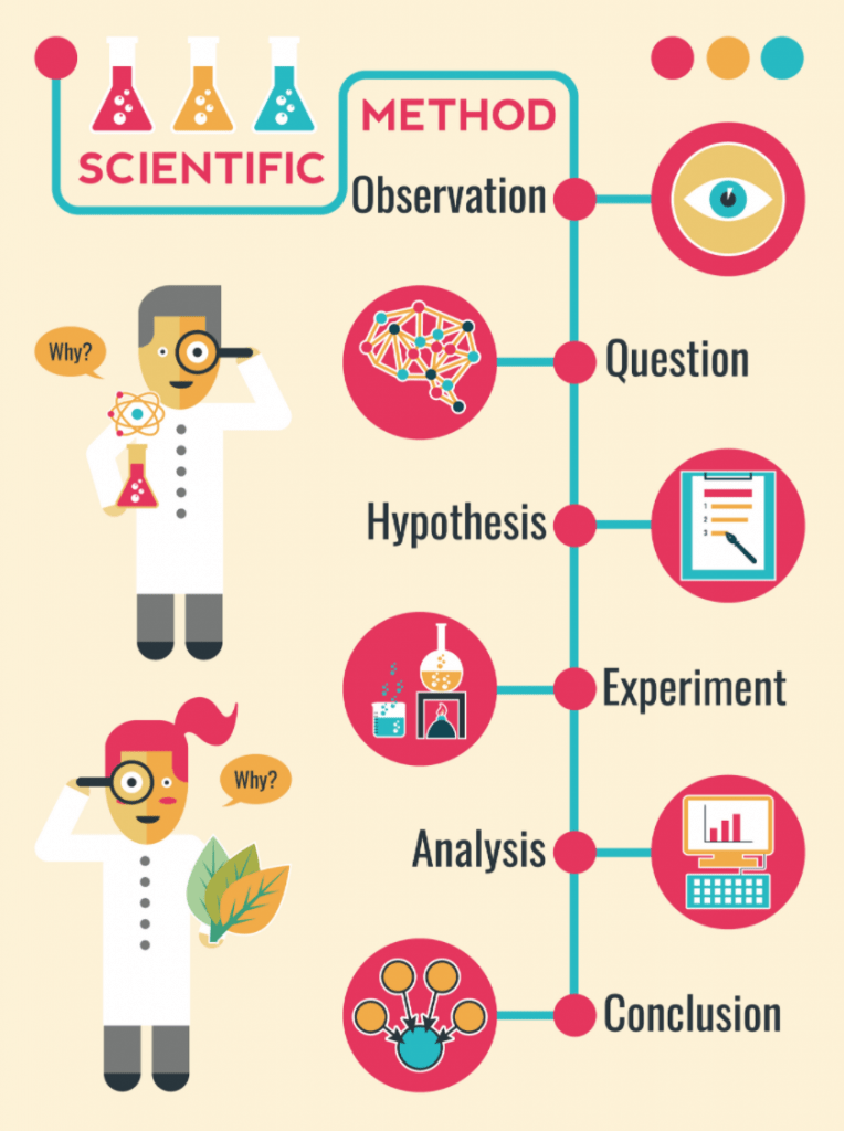 What is the scientific method, and how does it relate to insights and market research?