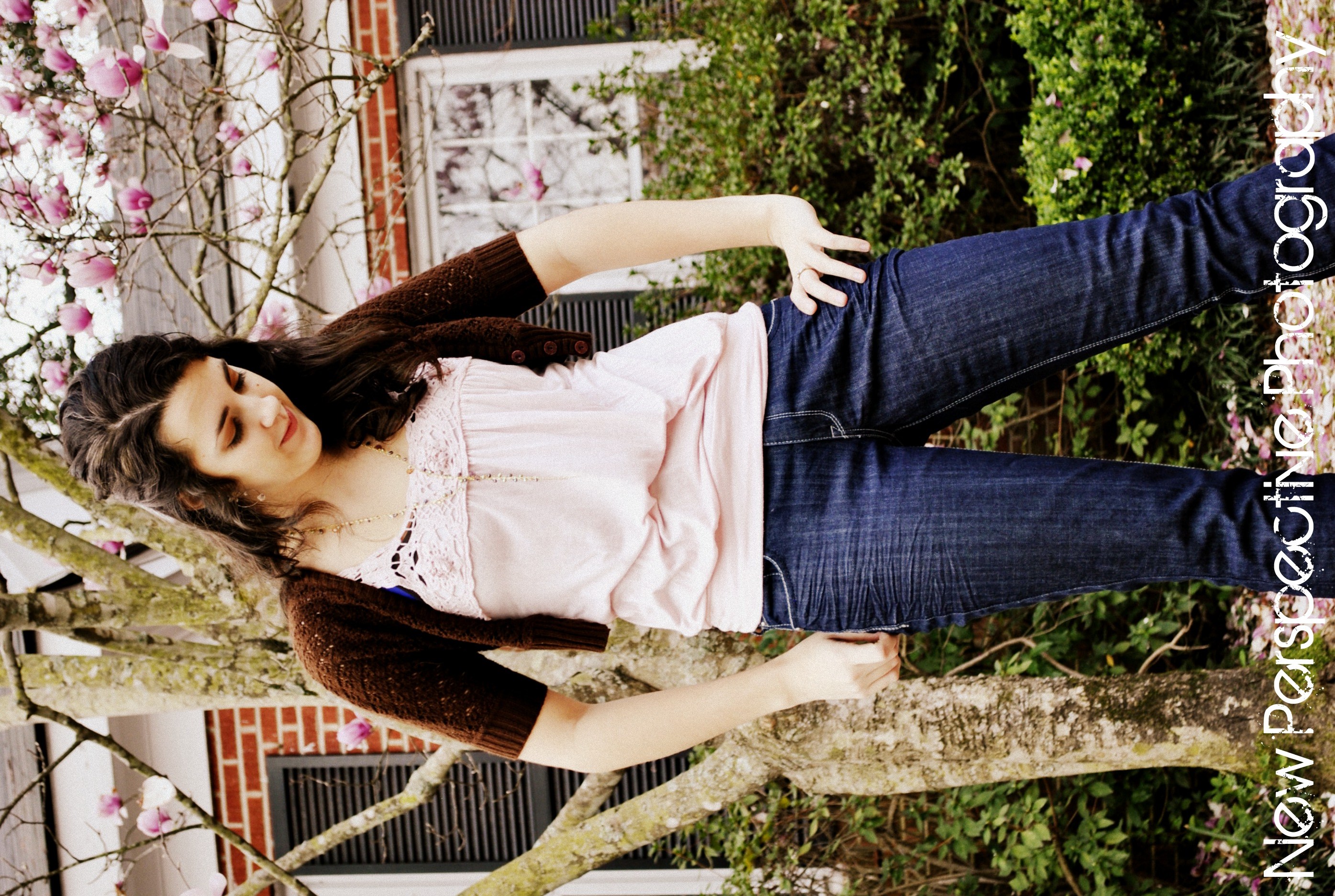 New Perspective Photography