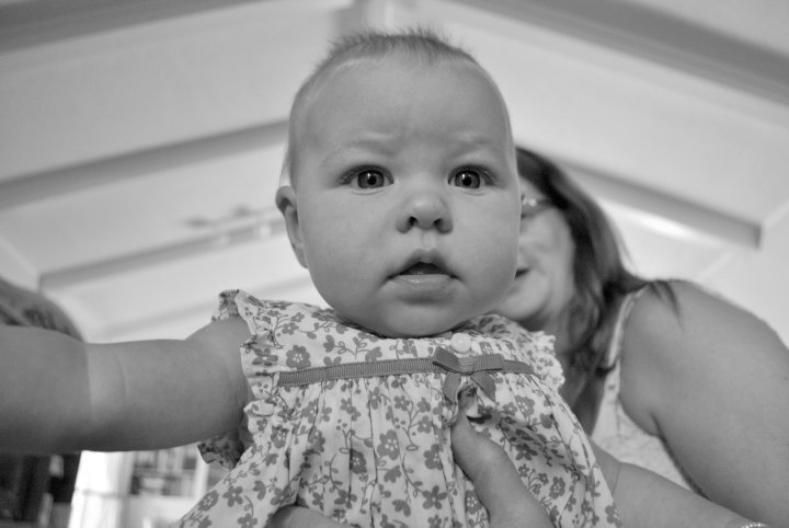 New Perspective Photography