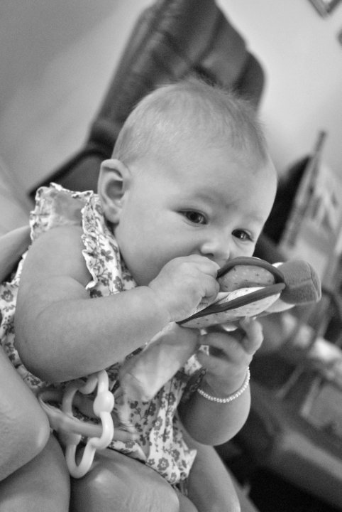 New Perspective Photography