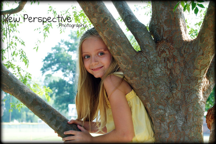 New Perspective Photography