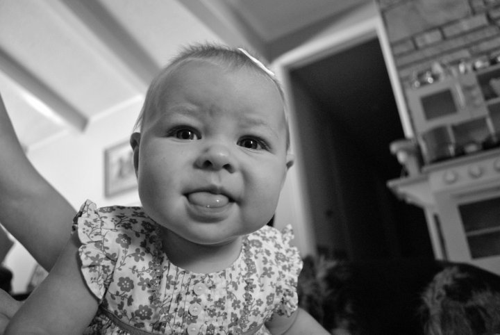 New Perspective Photography