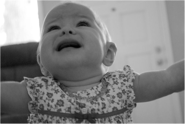 New Perspective Photography