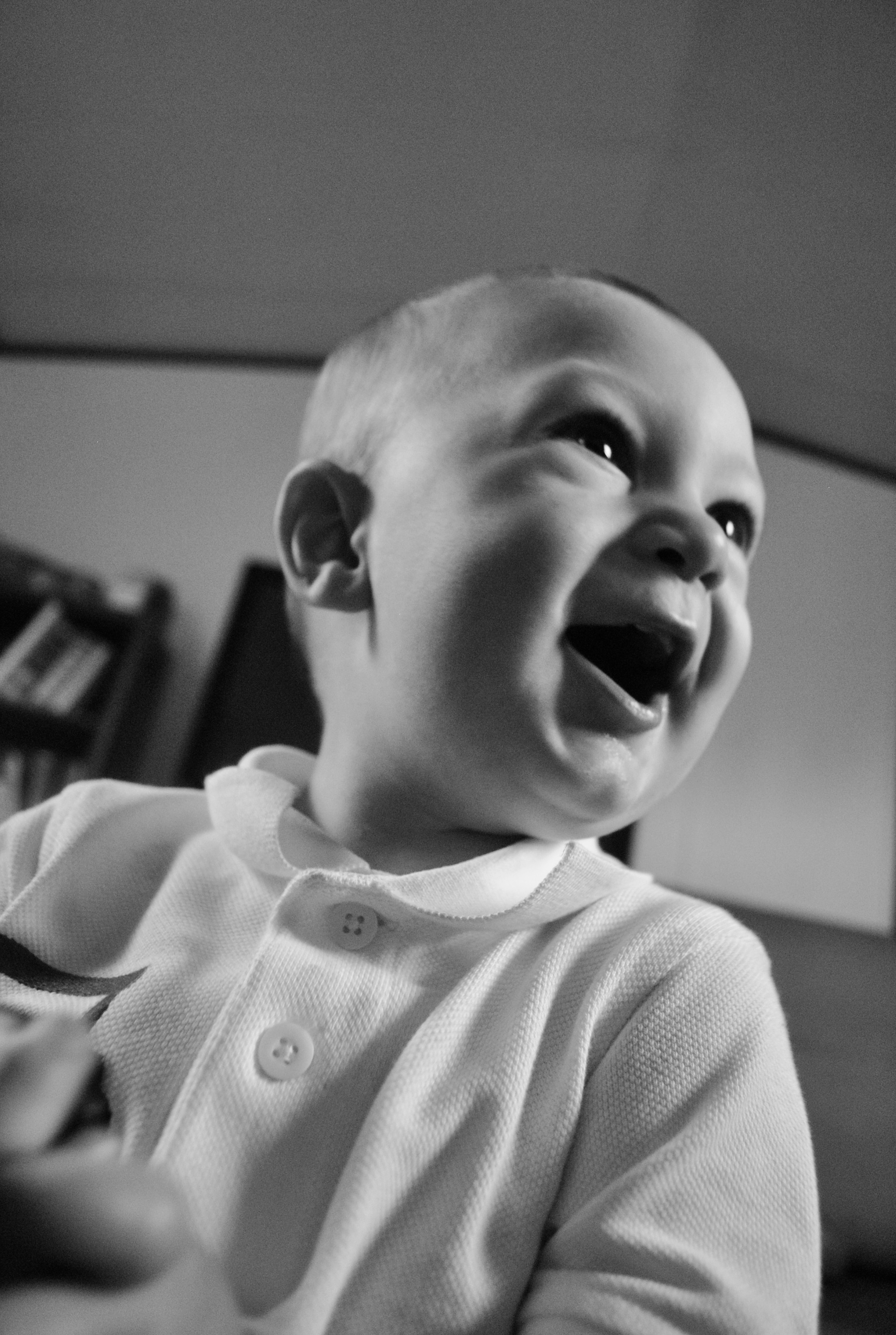 New Perspective Photography