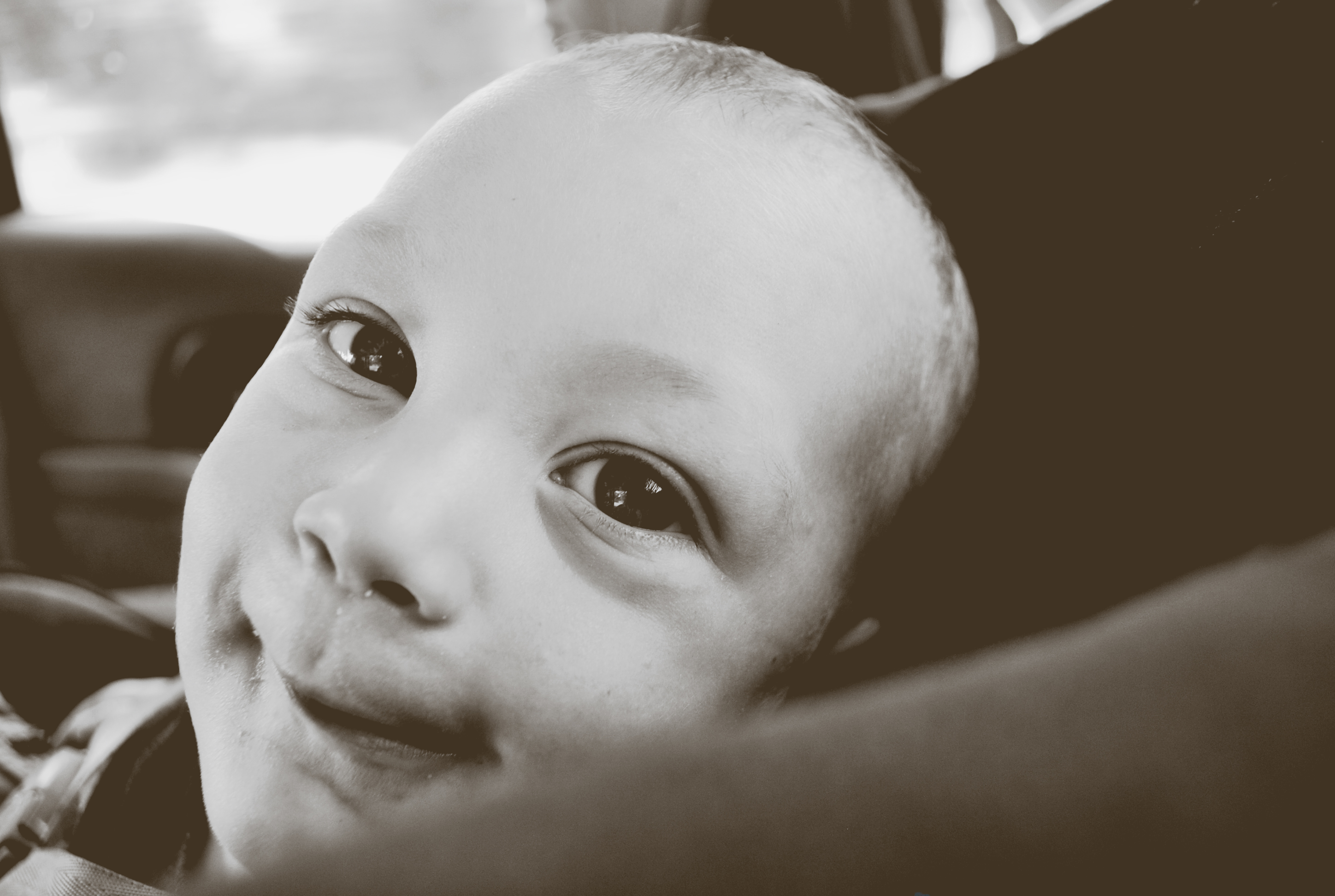 New Perspective Photography