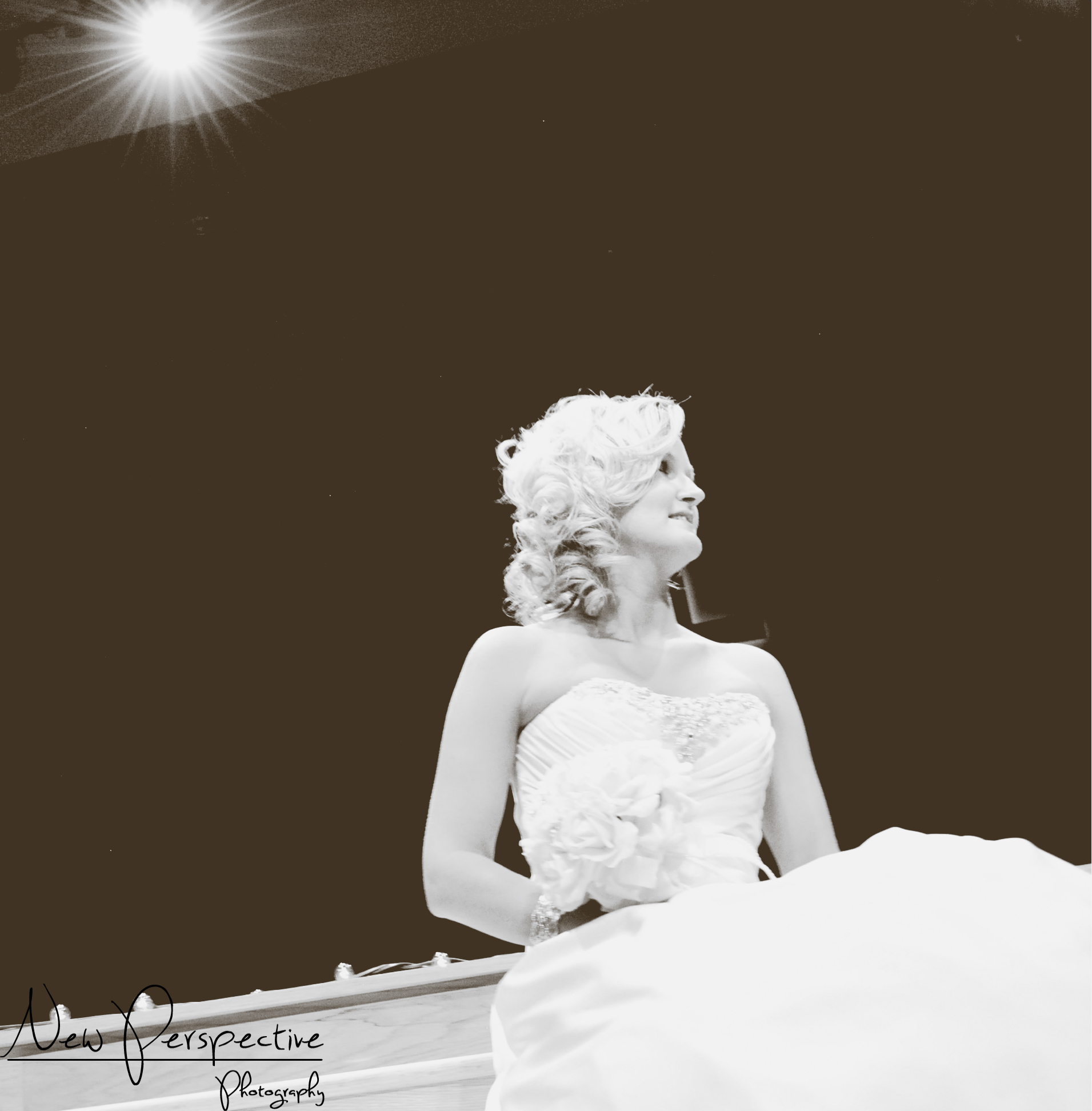 New Perspective Photography