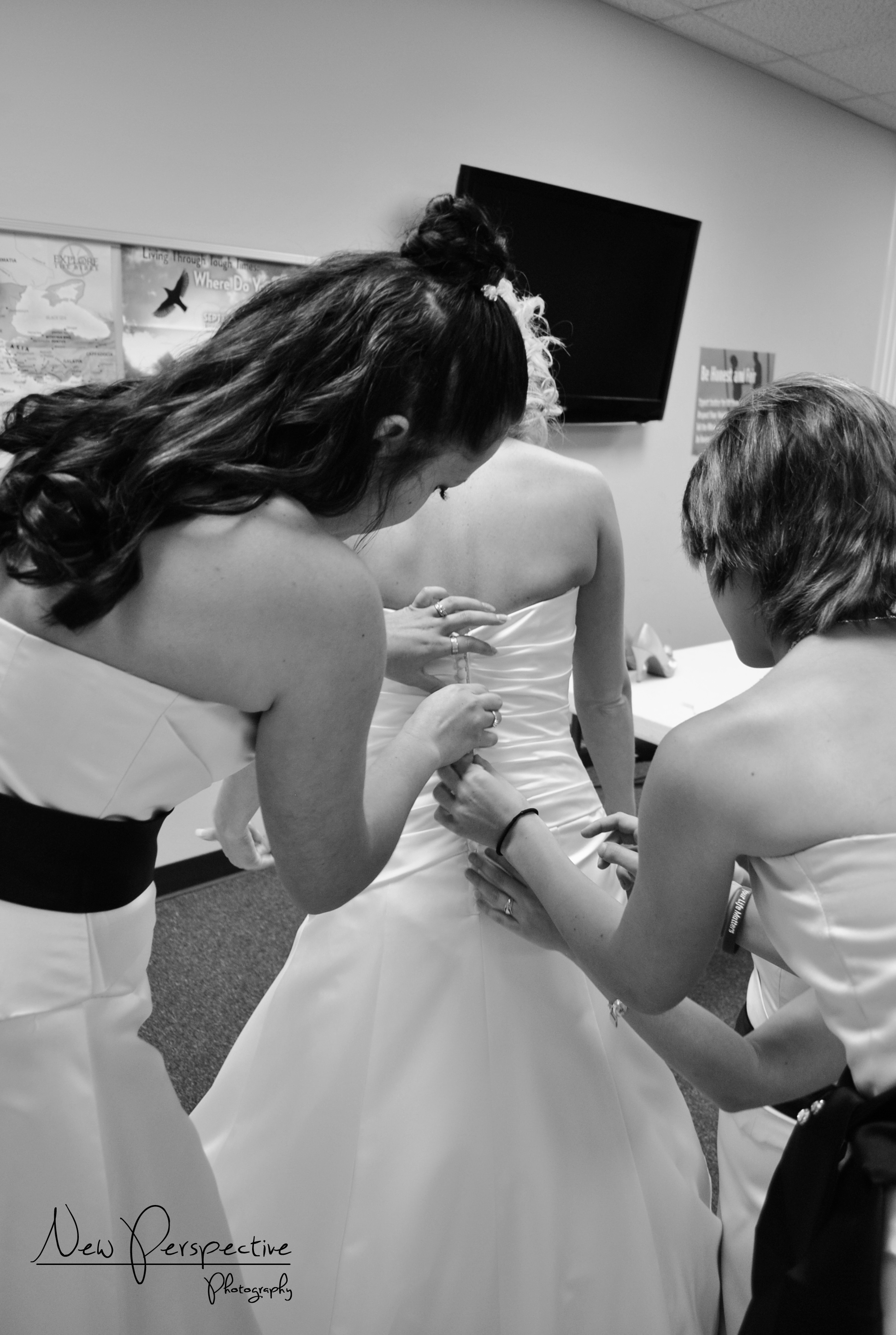 New Perspective Photography