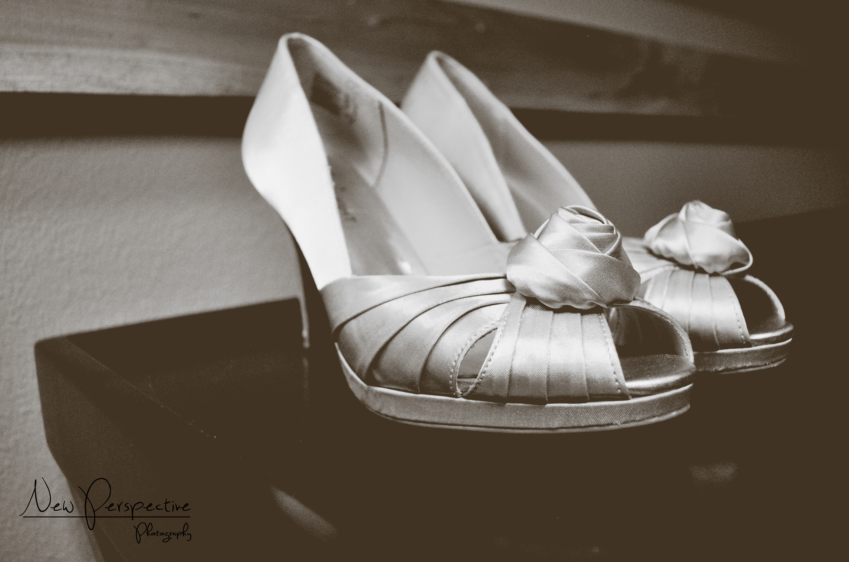 New Perspective Photography