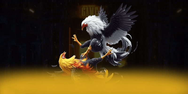 FB88 - Sảnh game an toàn tuyệt đối trên thị trường