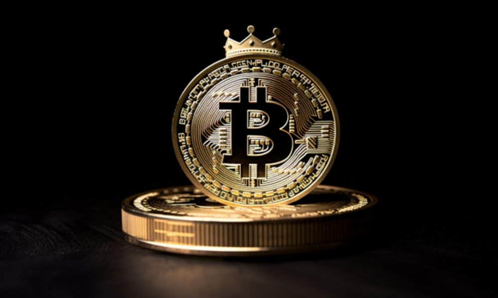 Bitcoin's Price Soars To New Heights, But For How Long? 1 Bitcoins Price