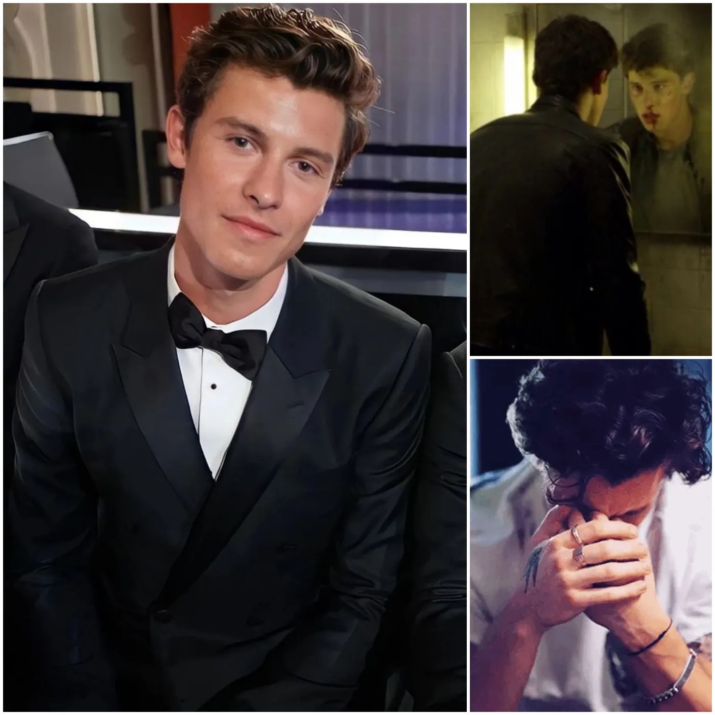 Shawn mendes the price of fame: the tearful secrets you never knew