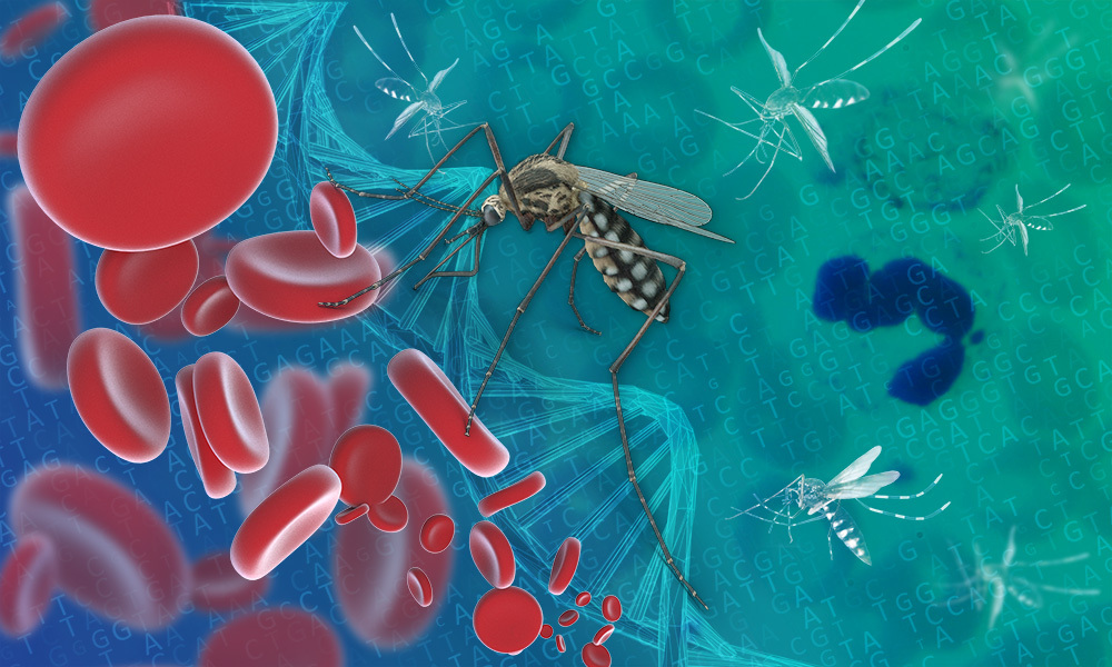 PAHO's Cross-Border Initiative: Eliminating Malaria in the Guiana Shield (2026)
