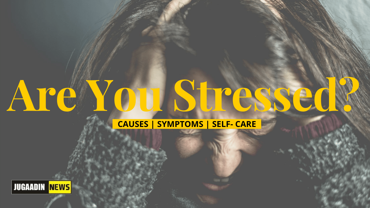 understanding stress
