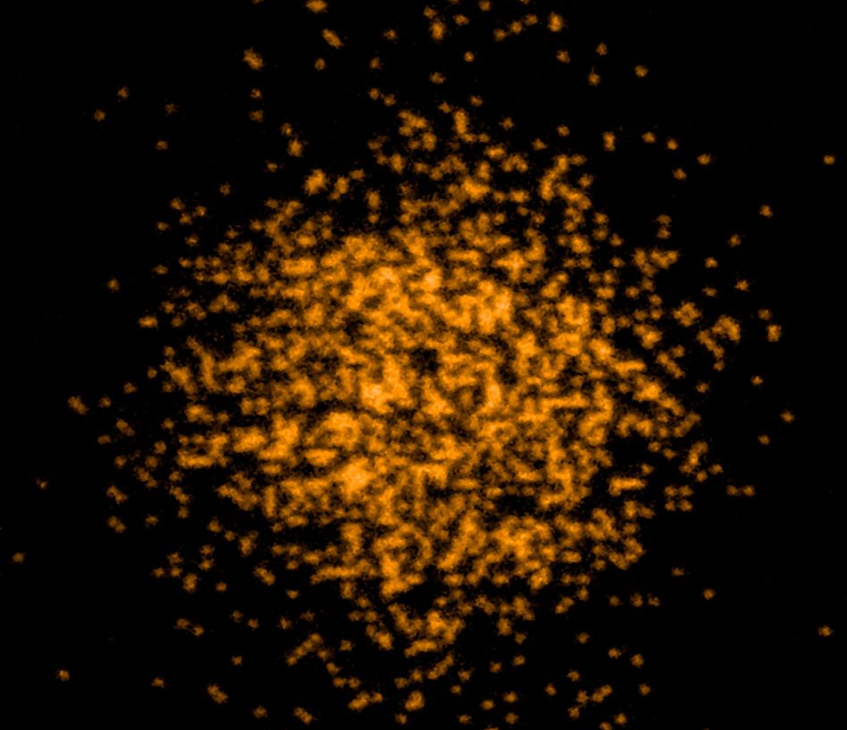 Researchers Build New Fermion Microscope Mit News Massachusetts Institute Of Technology