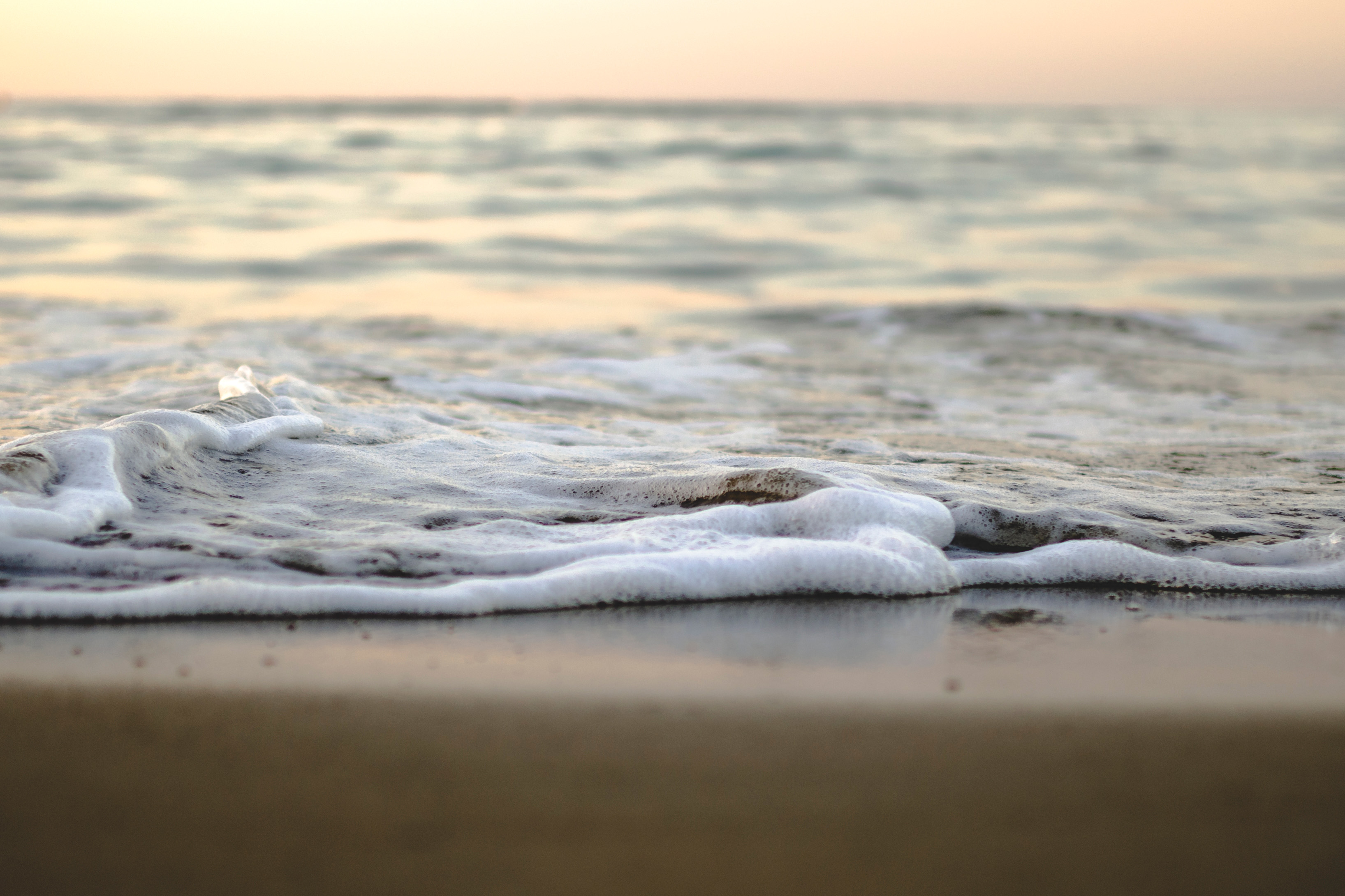 Salt's Impact on Microbial Ecosystems: Rising Sea Levels and Biodiversity (2026)