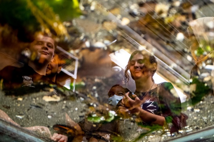 Schüler spiegeln sich im Wassertank wider