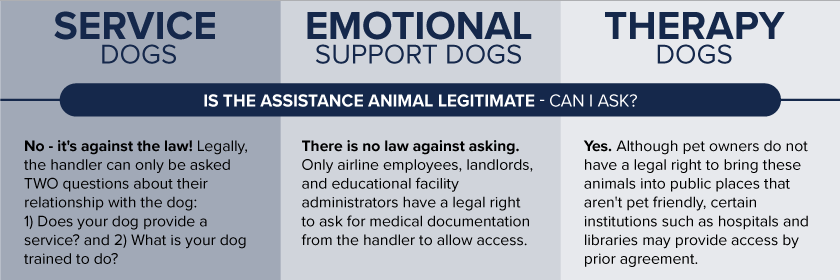 At federal service dog registration we provide free service dog and emotional support animal registration. Is That A Real Service Dog Or Is It Just Someone S Pet Orvis News