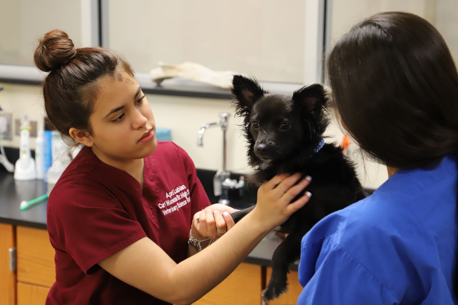 Wunsche Wellness Clinic to offer lowcost pet vaccinations and other
