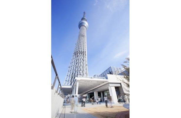 ＜画像11 / 12＞スカイツリーの麓に海の神秘満載の「すみだ水族館」がオープン！｜ウォーカープラス