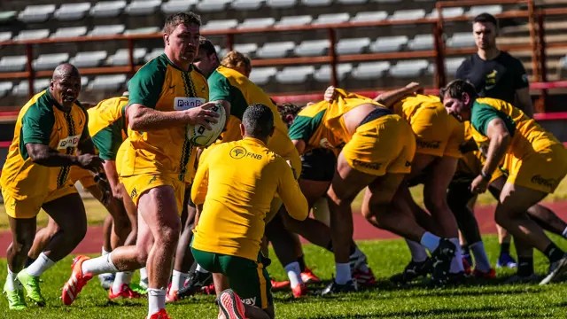 Springboks