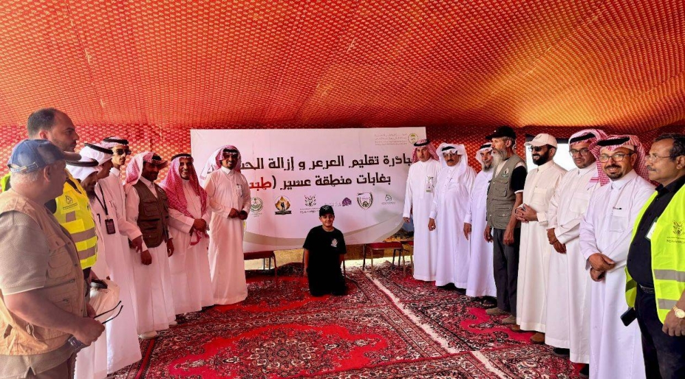 تقليم أشجار العرعر في عسير: فوائد بيئية واقتصادية