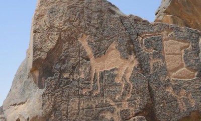فنون حائل الصخرية: من أقدم الآثار العالمية