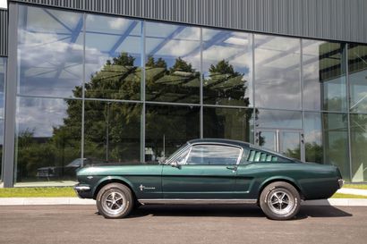 Fastback- Des collections alsaciennes