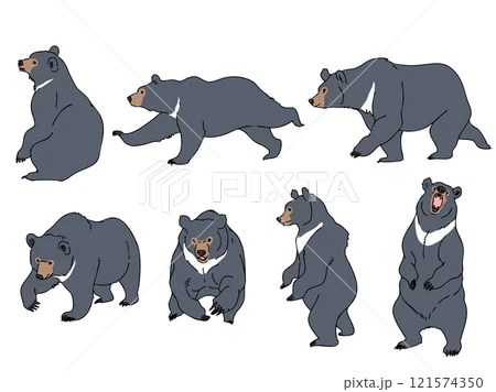 クマ問題から考える「人間と自然の境界線」(その1)  ――　駆除だけでは解決しない  /   里山と「山への敬意」を取り戻す