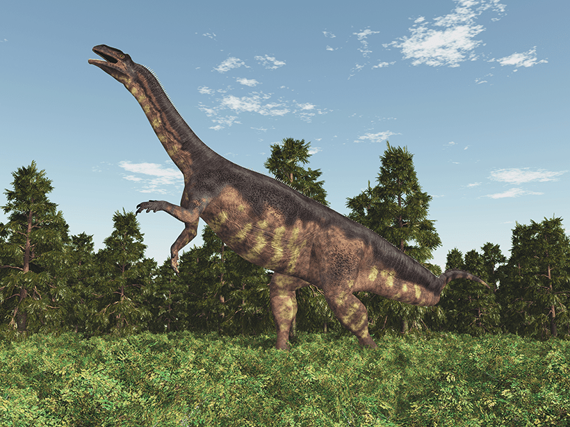 Image of a long-necked dinosaur with trees in the background.