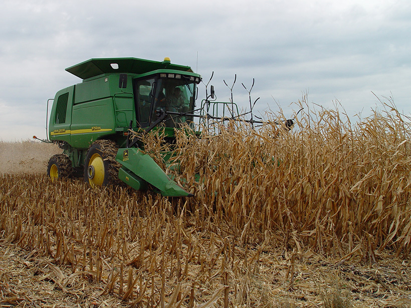 Combine harvests corn stover.