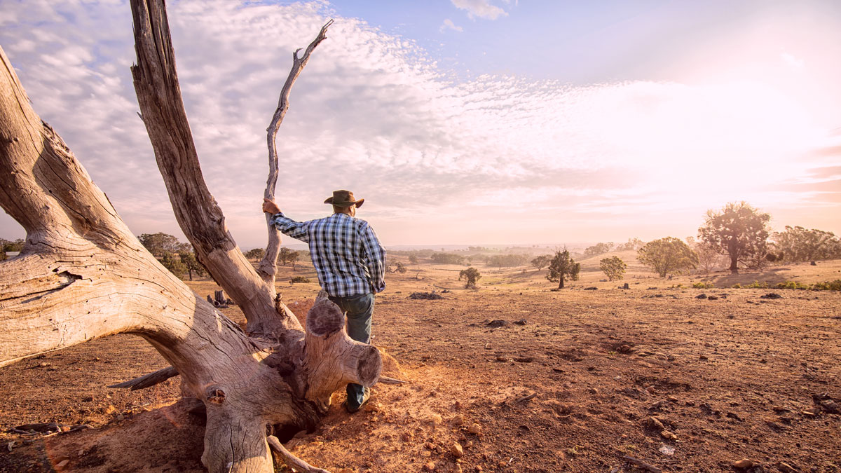 An Australian farmer looks out over dry land