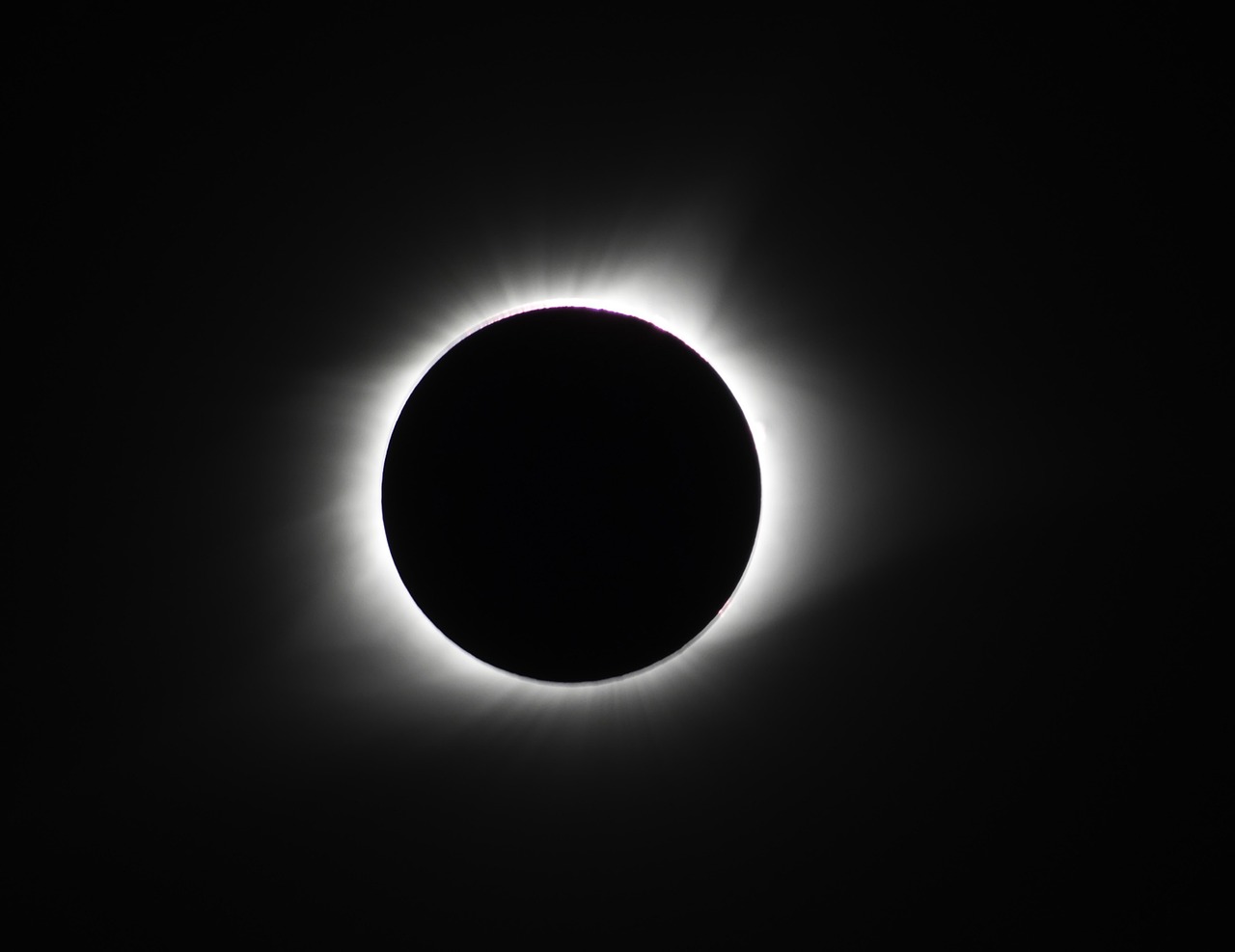 It's official: Richland County government offices will close on Eclipse Day - Vimarsana News
