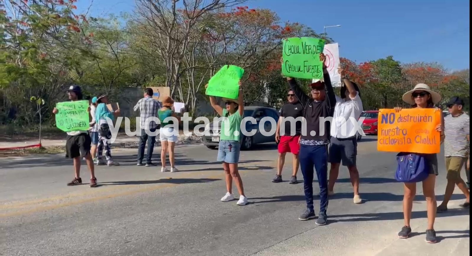 Vecinos de Cholul protestan contra empresa que taló varios árboles en la zona