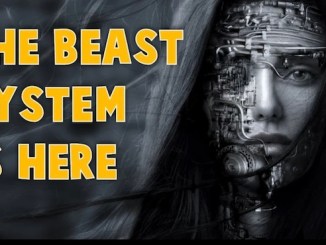 BeastSystem