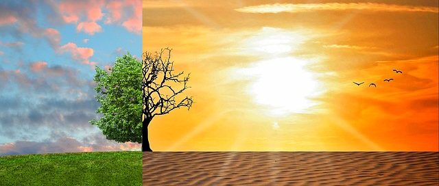 Climate