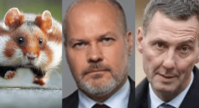 Hamster
