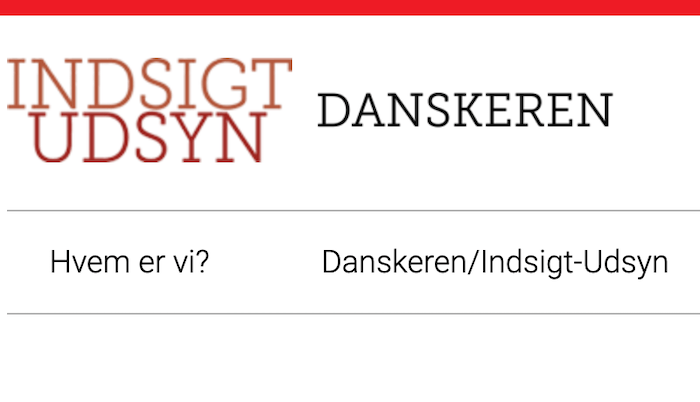 Indsigt