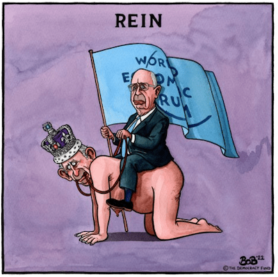 Rein