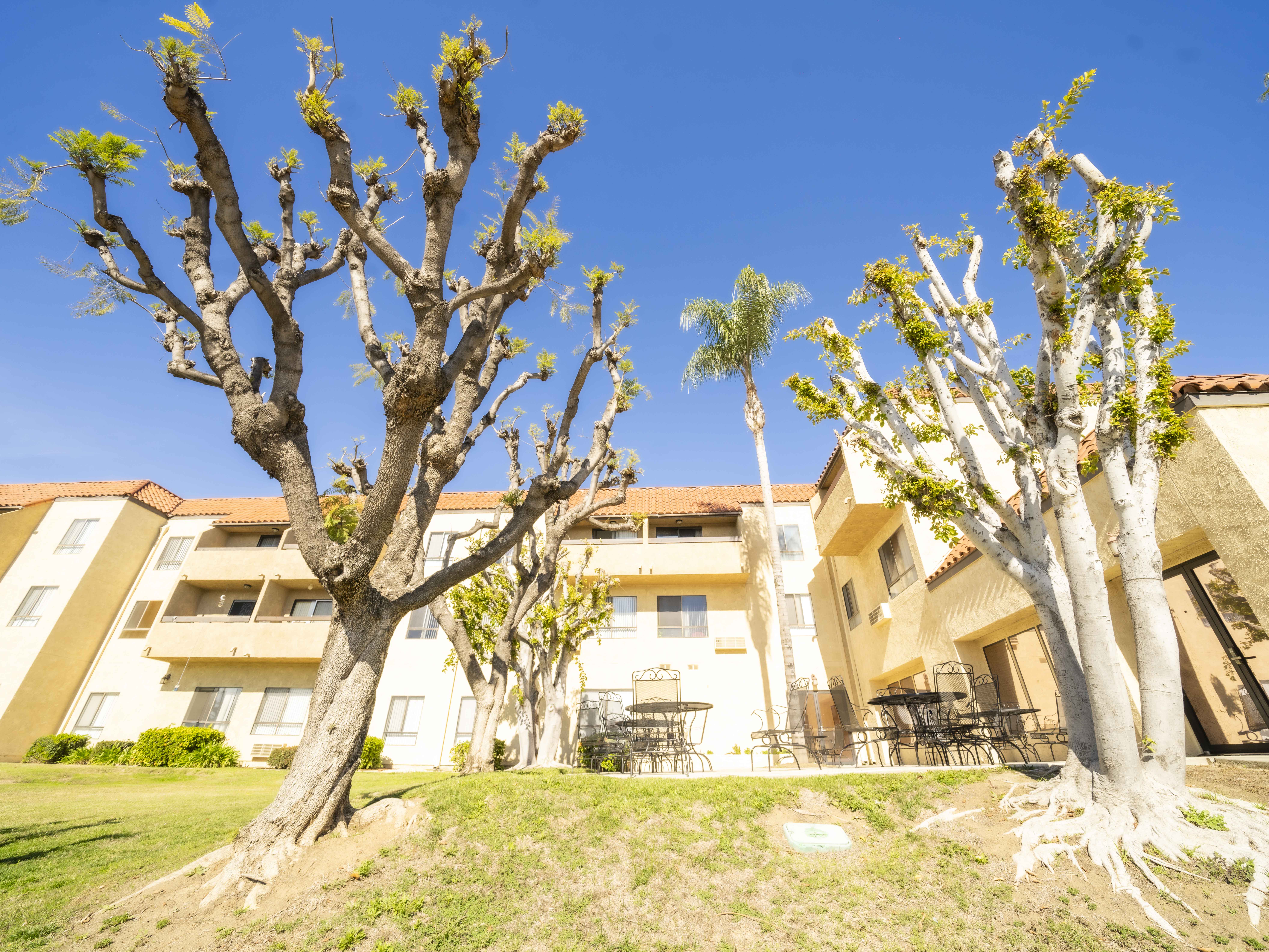 始まりの町 Chino Property - NewStart Housing Corporation