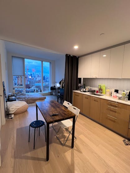 1 BR, 1 BA Apt In LIC(near Manhattan)