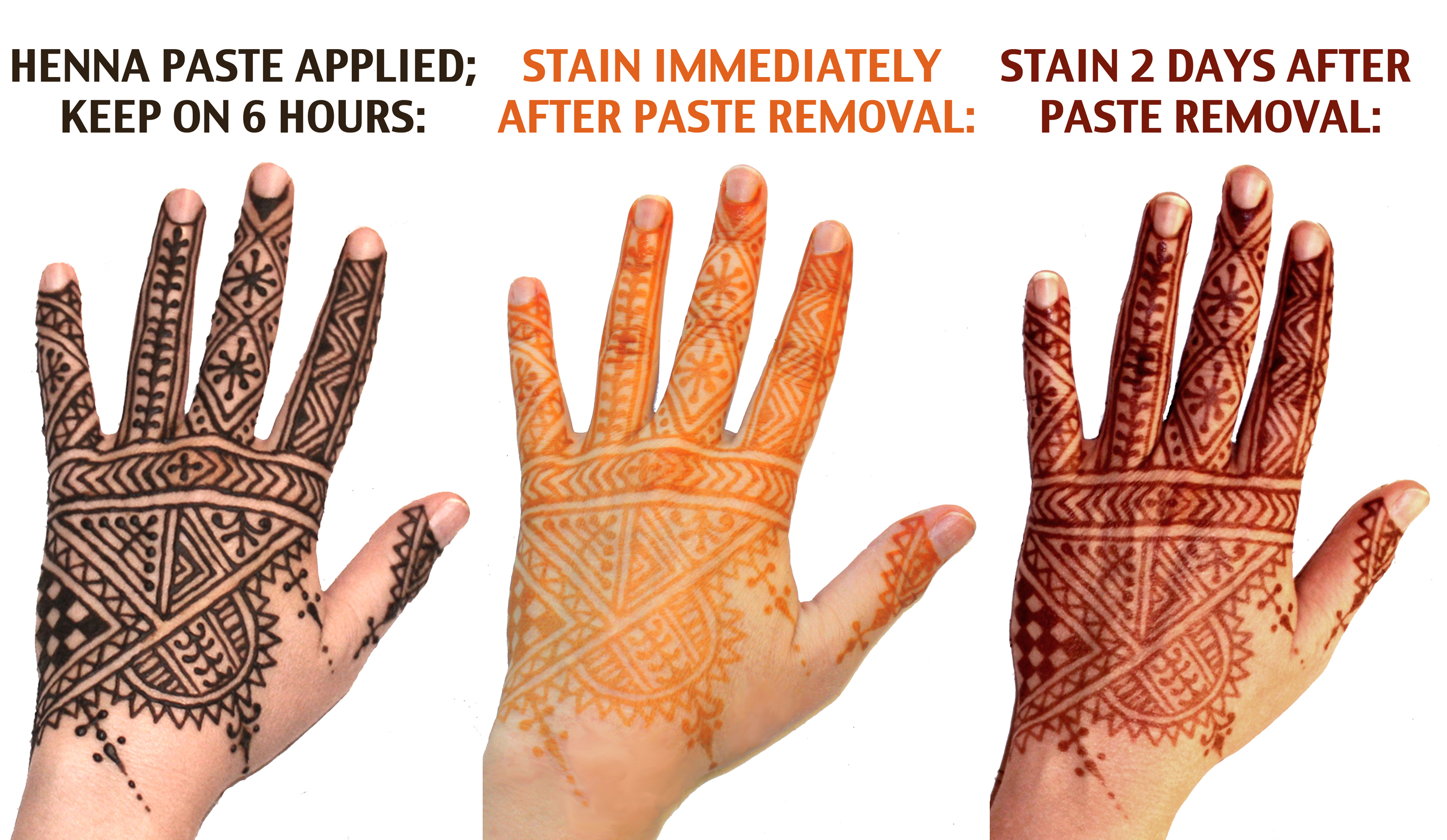 About Henna | New World Henna 1742_x_3000_jpg